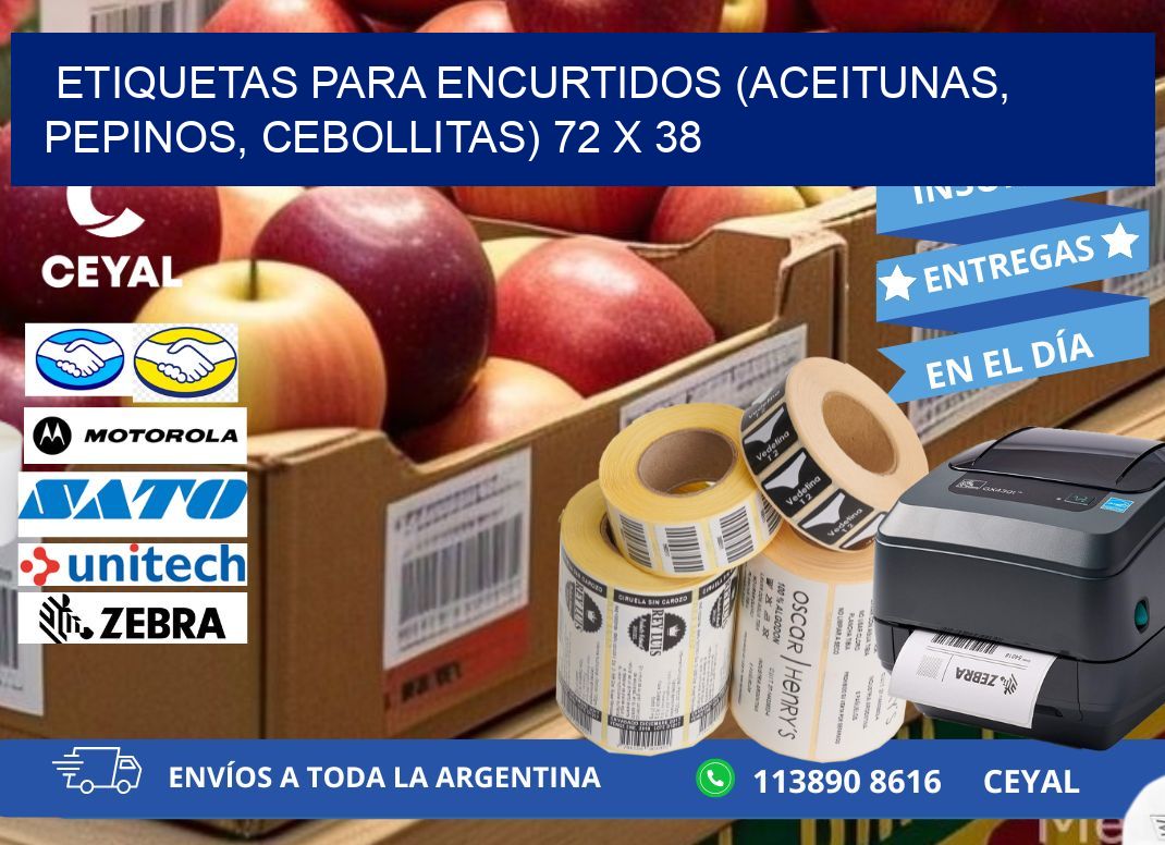 ETIQUETAS PARA ENCURTIDOS (ACEITUNAS, PEPINOS, CEBOLLITAS) 72 x 38
