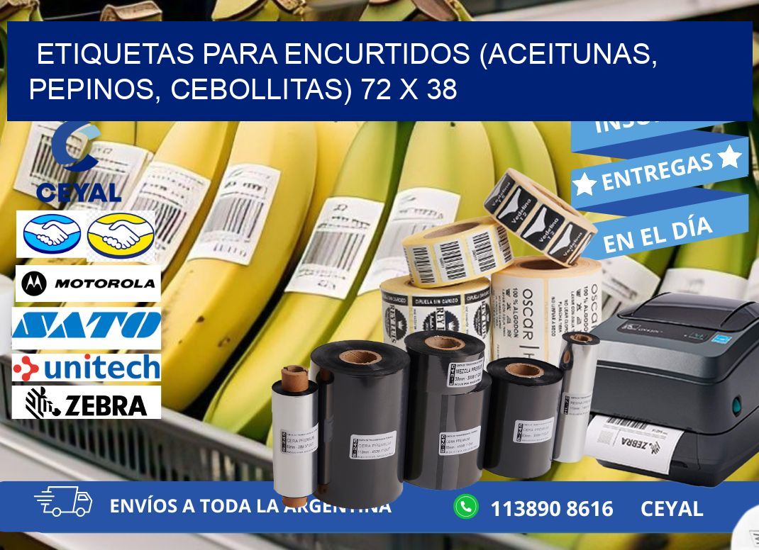 ETIQUETAS PARA ENCURTIDOS (ACEITUNAS, PEPINOS, CEBOLLITAS) 72 x 38