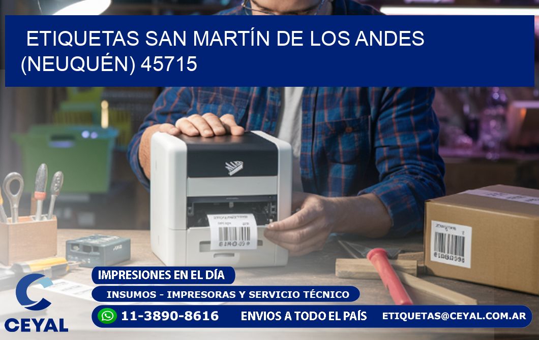ETIQUETAS SAN MARTÍN DE LOS ANDES (NEUQUÉN) 45715