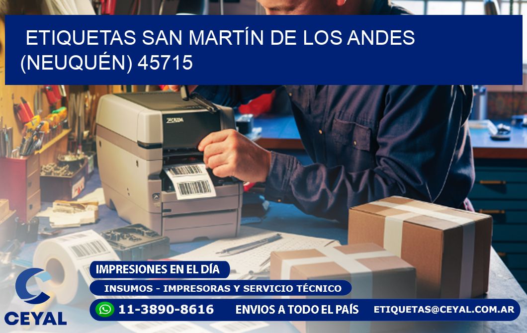 ETIQUETAS SAN MARTÍN DE LOS ANDES (NEUQUÉN) 45715