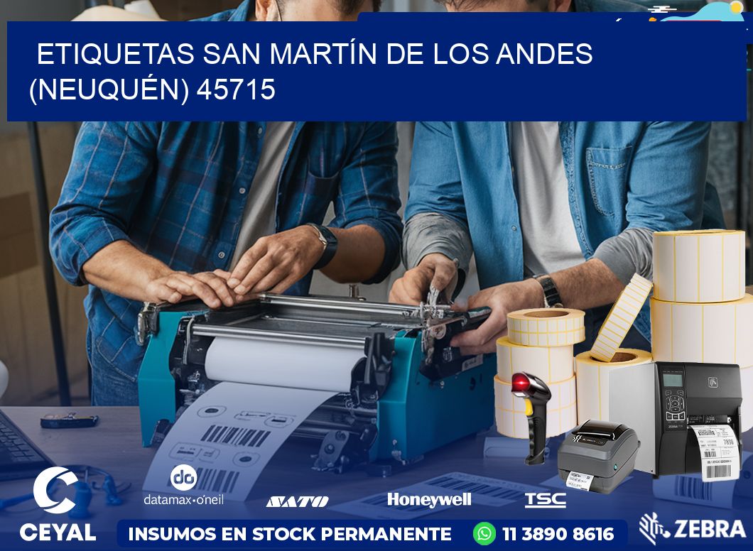 ETIQUETAS SAN MARTÍN DE LOS ANDES (NEUQUÉN) 45715