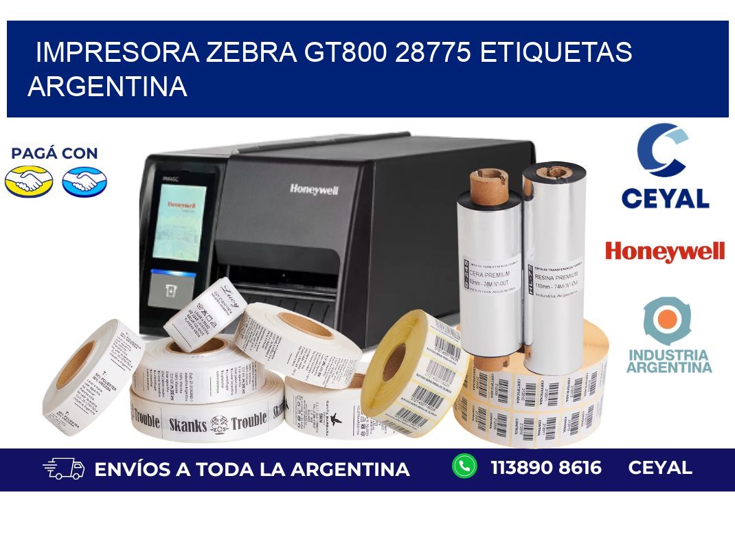 Impresora zebra gt800 28775 etiquetas argentina