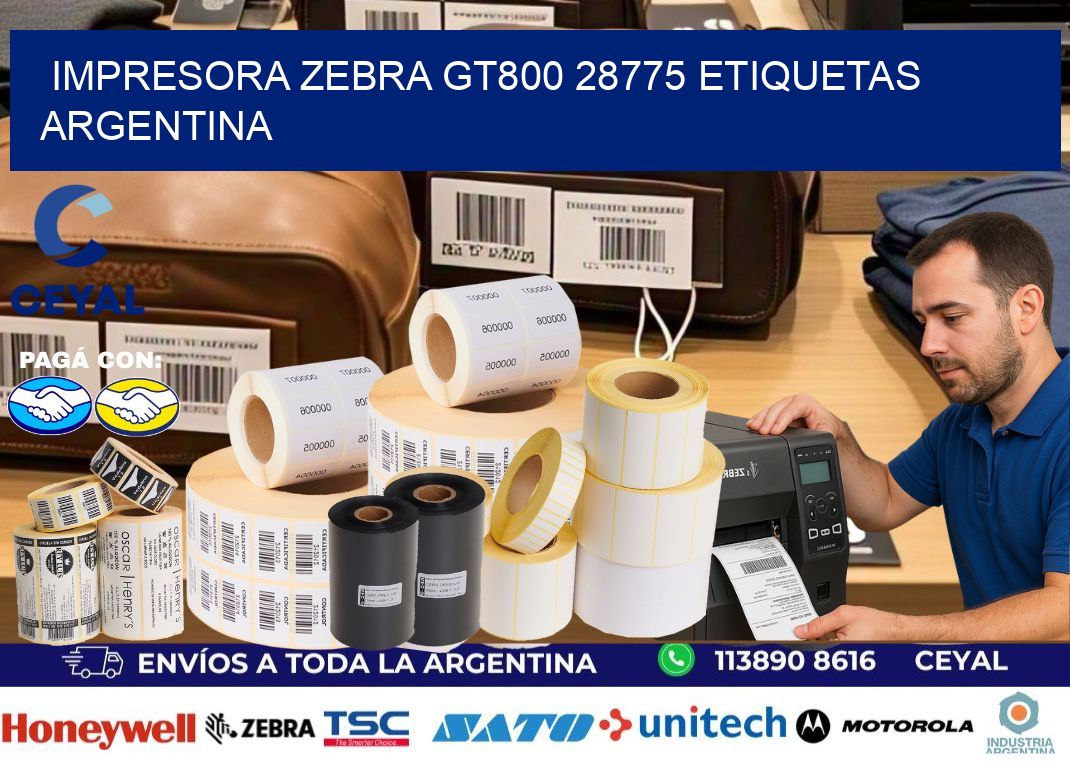 Impresora zebra gt800 28775 etiquetas argentina