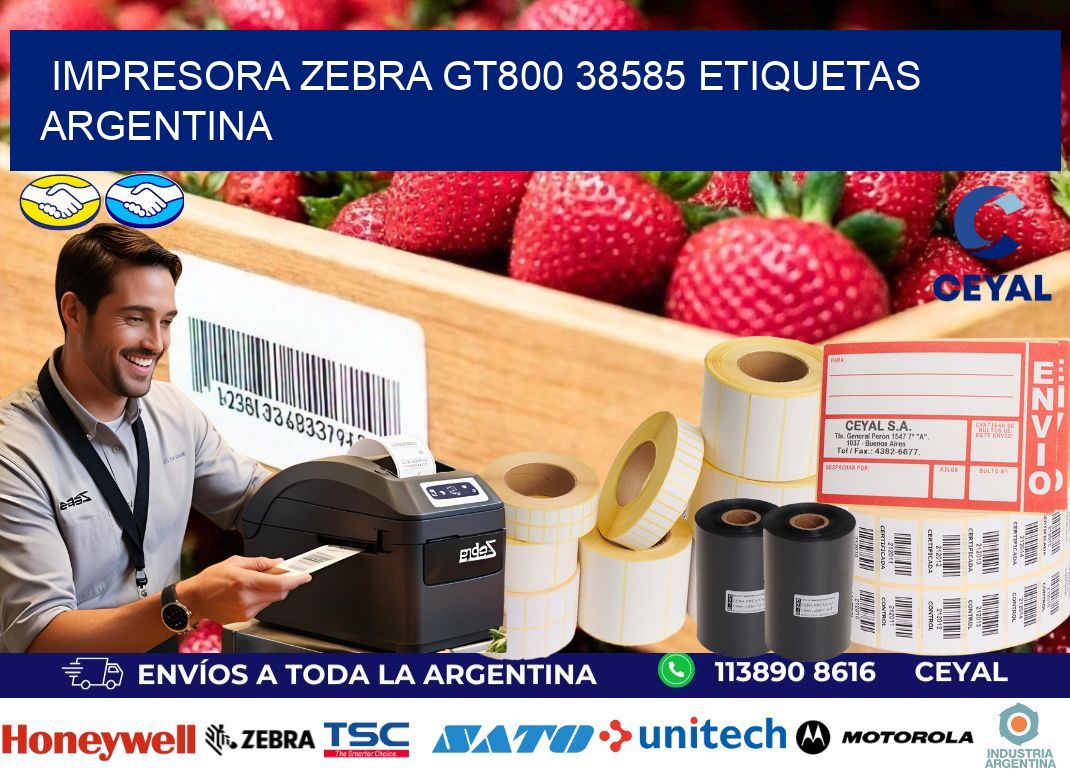 Impresora zebra gt800 38585 etiquetas argentina