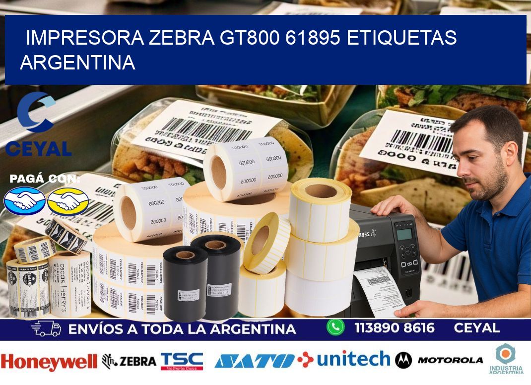 Impresora zebra gt800 61895 etiquetas argentina