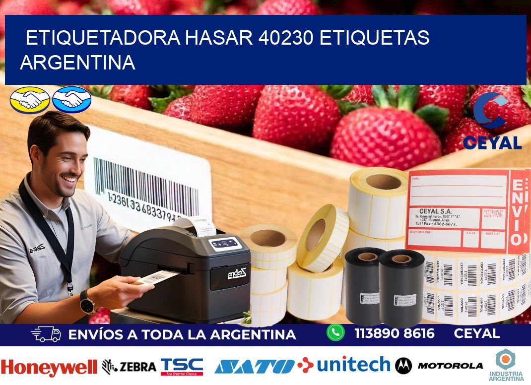 etiquetadora hasar 40230 etiquetas argentina