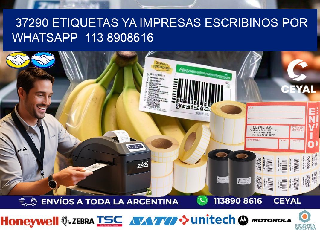 37290 ETIQUETAS YA IMPRESAS ESCRIBINOS POR WHATSAPP  113 8908616