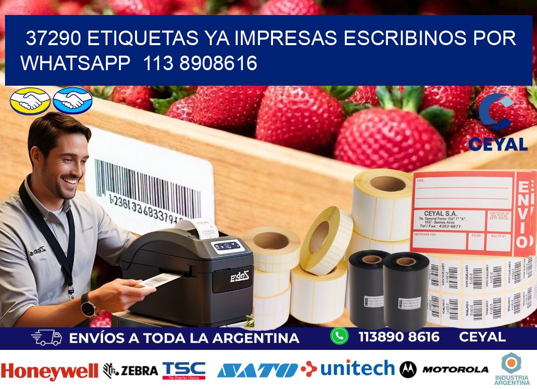 37290 ETIQUETAS YA IMPRESAS ESCRIBINOS POR WHATSAPP  113 8908616