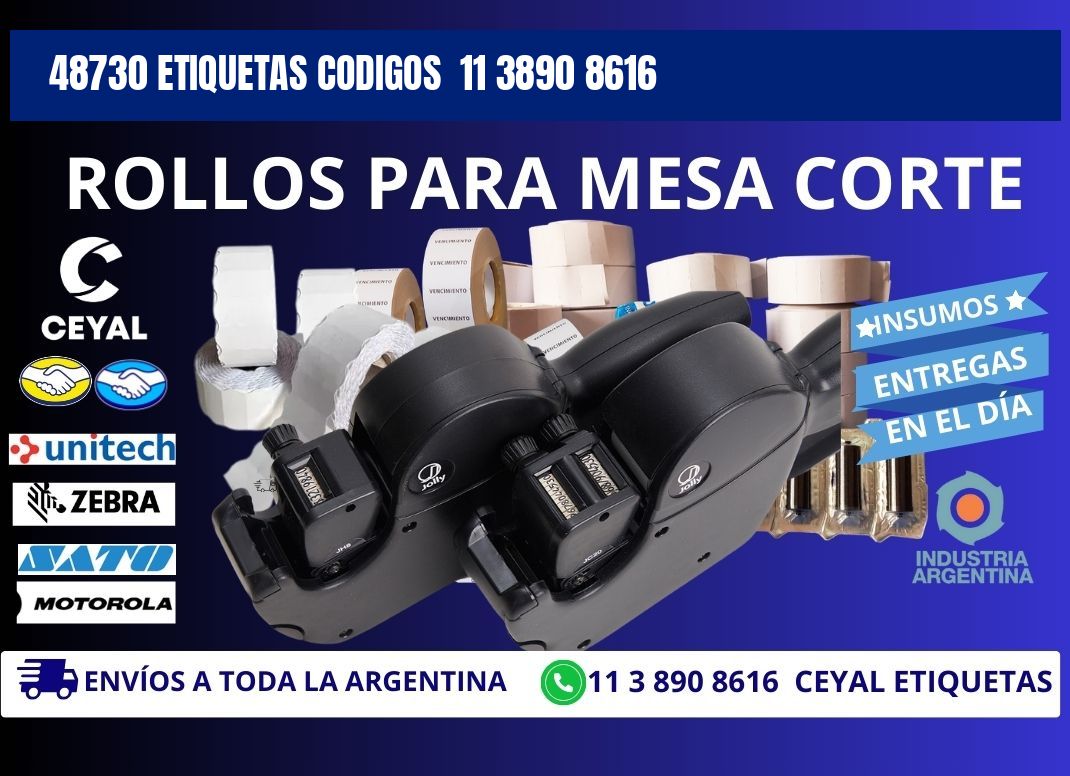 48730 ETIQUETAS CODIGOS 11 3890 8616