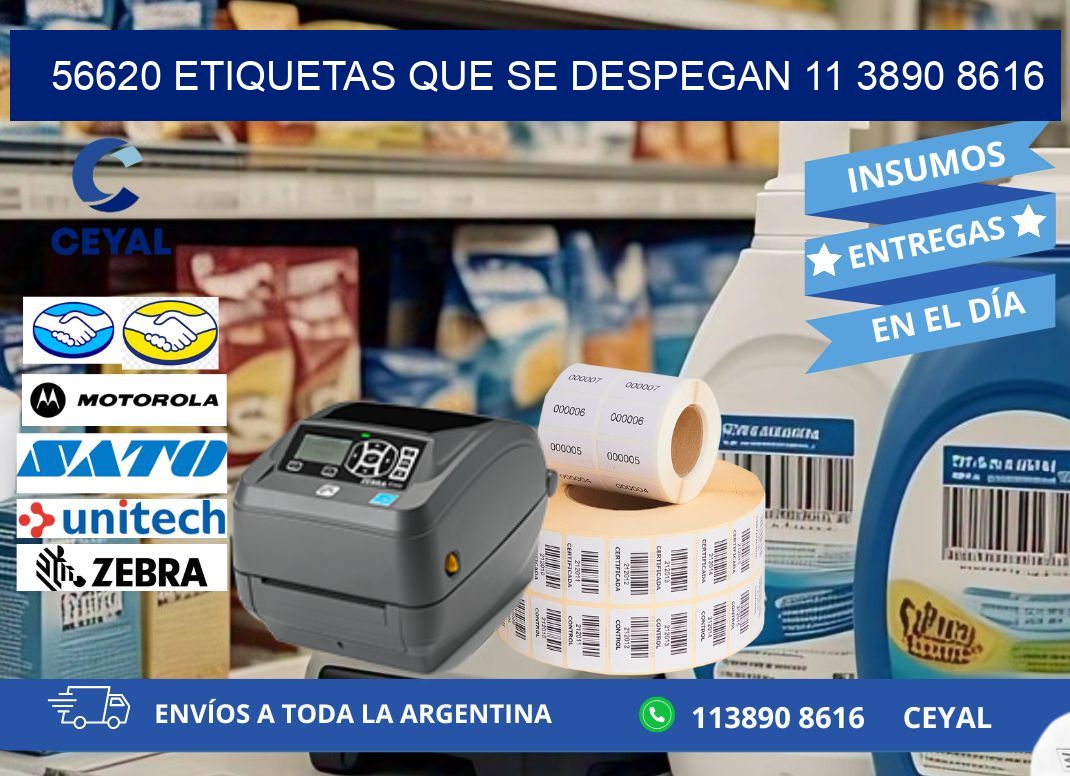 56620 ETIQUETAS QUE SE DESPEGAN 11 3890 8616