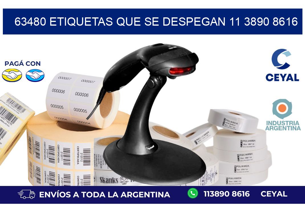 63480 ETIQUETAS QUE SE DESPEGAN 11 3890 8616