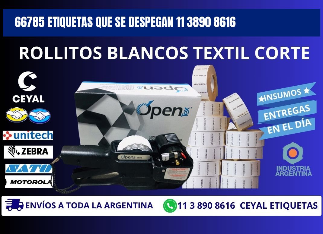66785 ETIQUETAS QUE SE DESPEGAN 11 3890 8616