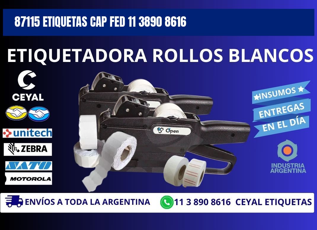 87115 ETIQUETAS CAP FED 11 3890 8616