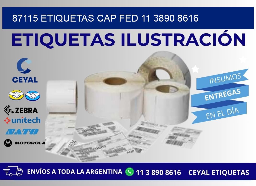 87115 ETIQUETAS CAP FED 11 3890 8616