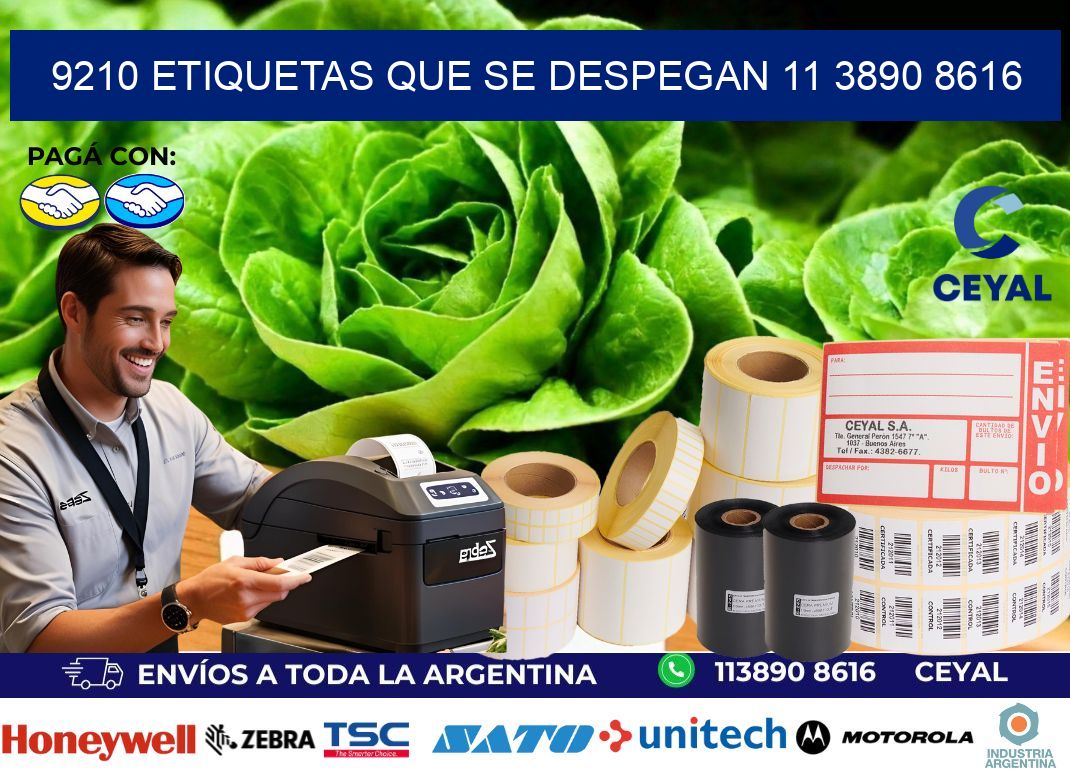 9210 ETIQUETAS QUE SE DESPEGAN 11 3890 8616