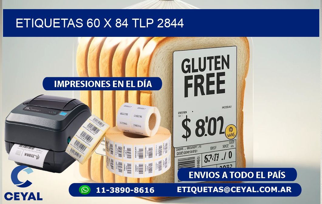 ETIQUETAS 60 x 84 TLP 2844