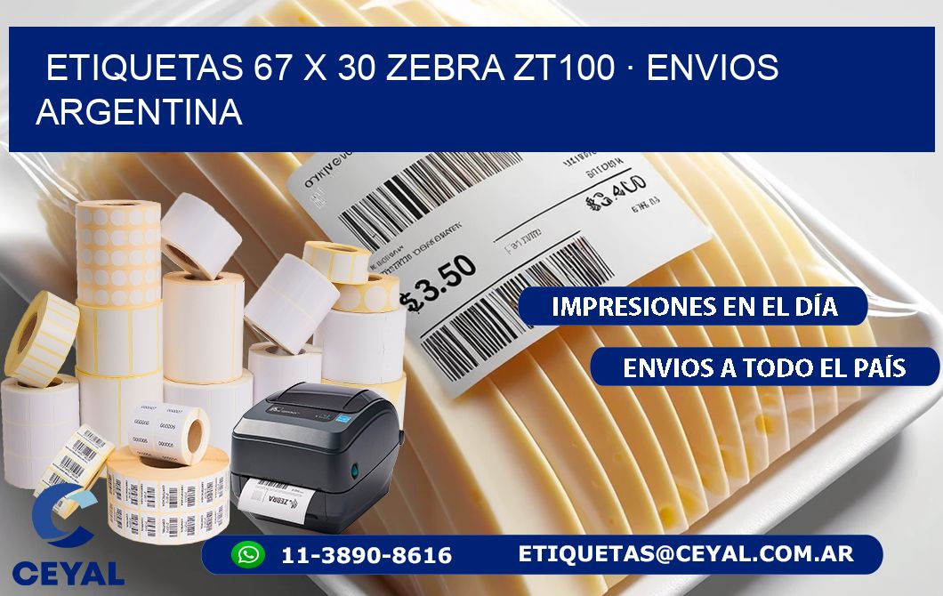 ETIQUETAS 67 x 30 ZEBRA ZT100 · ENVIOS ARGENTINA