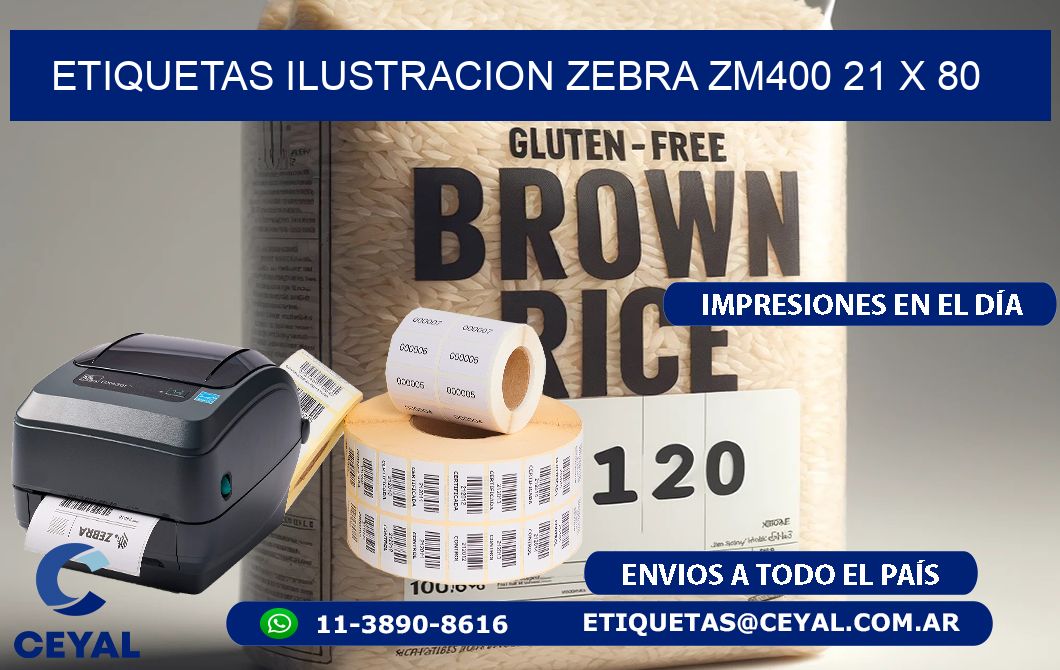 ETIQUETAS ILUSTRACION ZEBRA ZM400 21 x 80