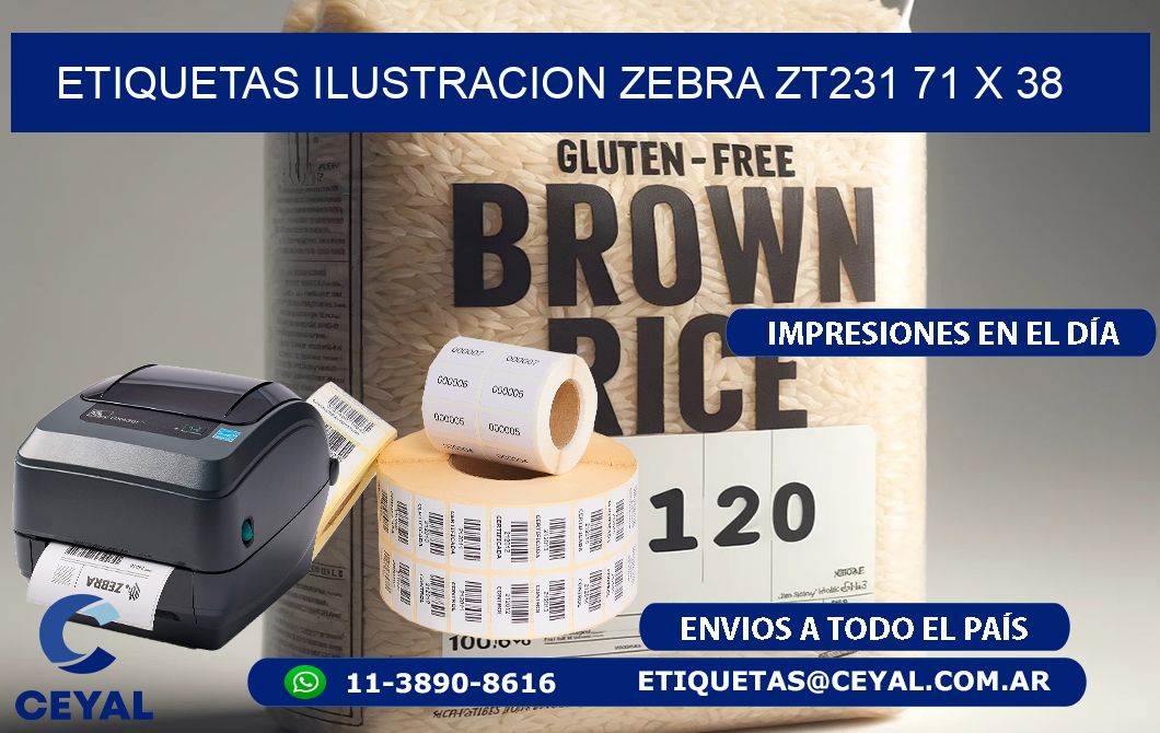 ETIQUETAS ILUSTRACION ZEBRA ZT231 71 x 38