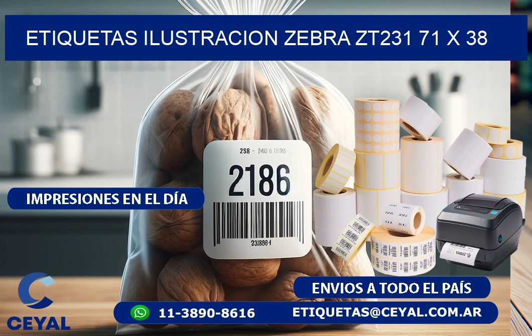 ETIQUETAS ILUSTRACION ZEBRA ZT231 71 x 38
