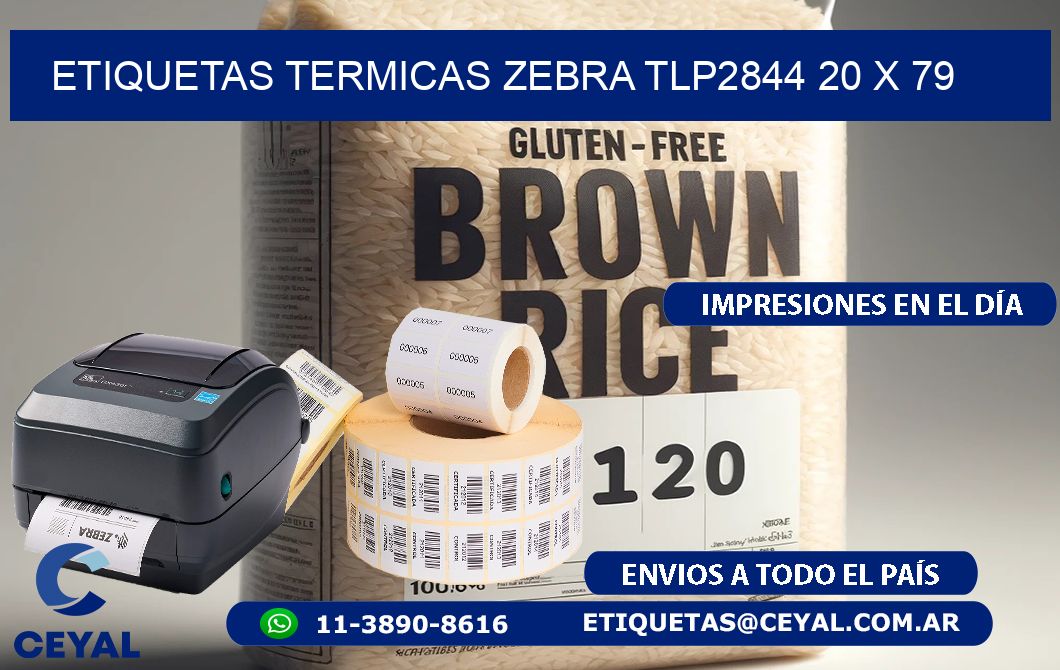 ETIQUETAS TERMICAS ZEBRA TLP2844 20 x 79