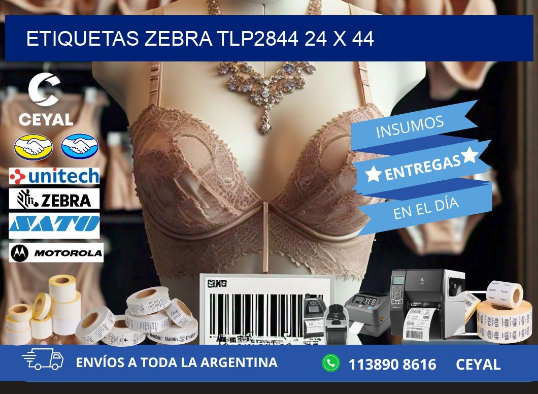 ETIQUETAS Zebra TLP2844 24 x 44
