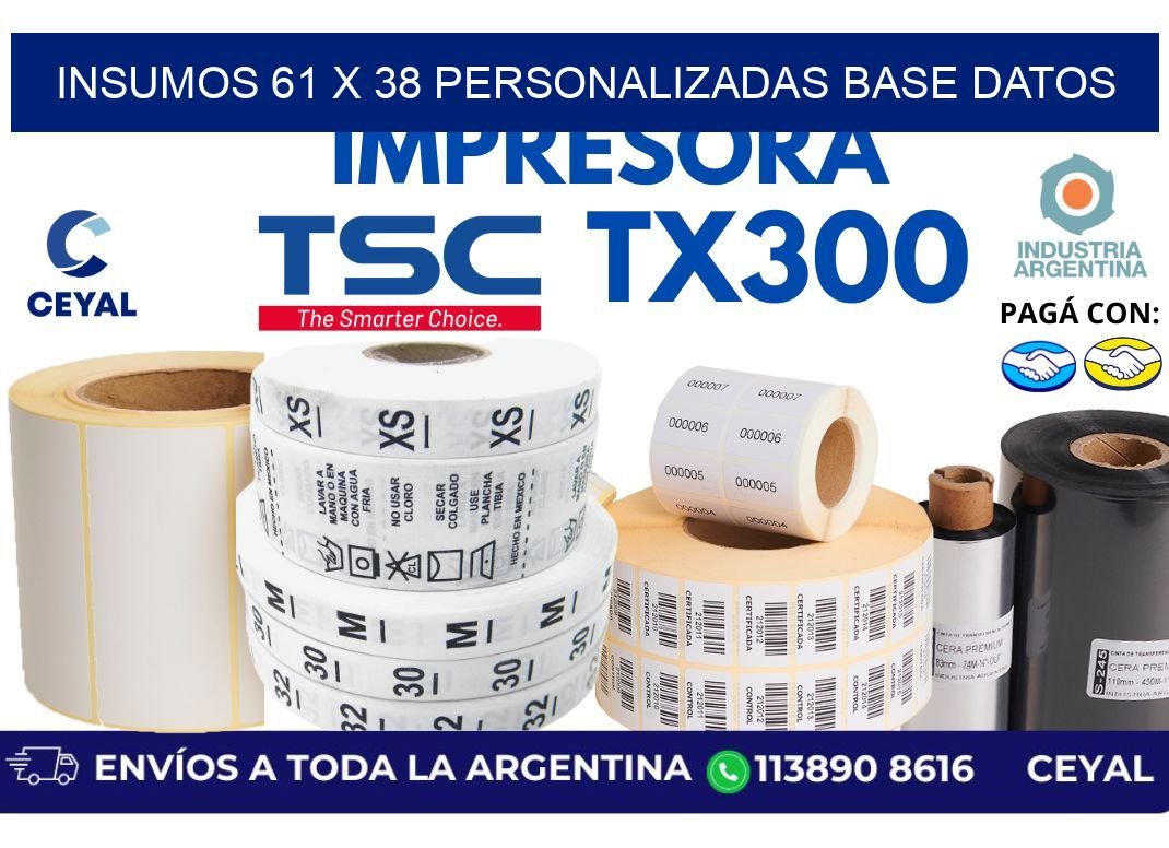 insumos 61 x 38 personalizadas base datos