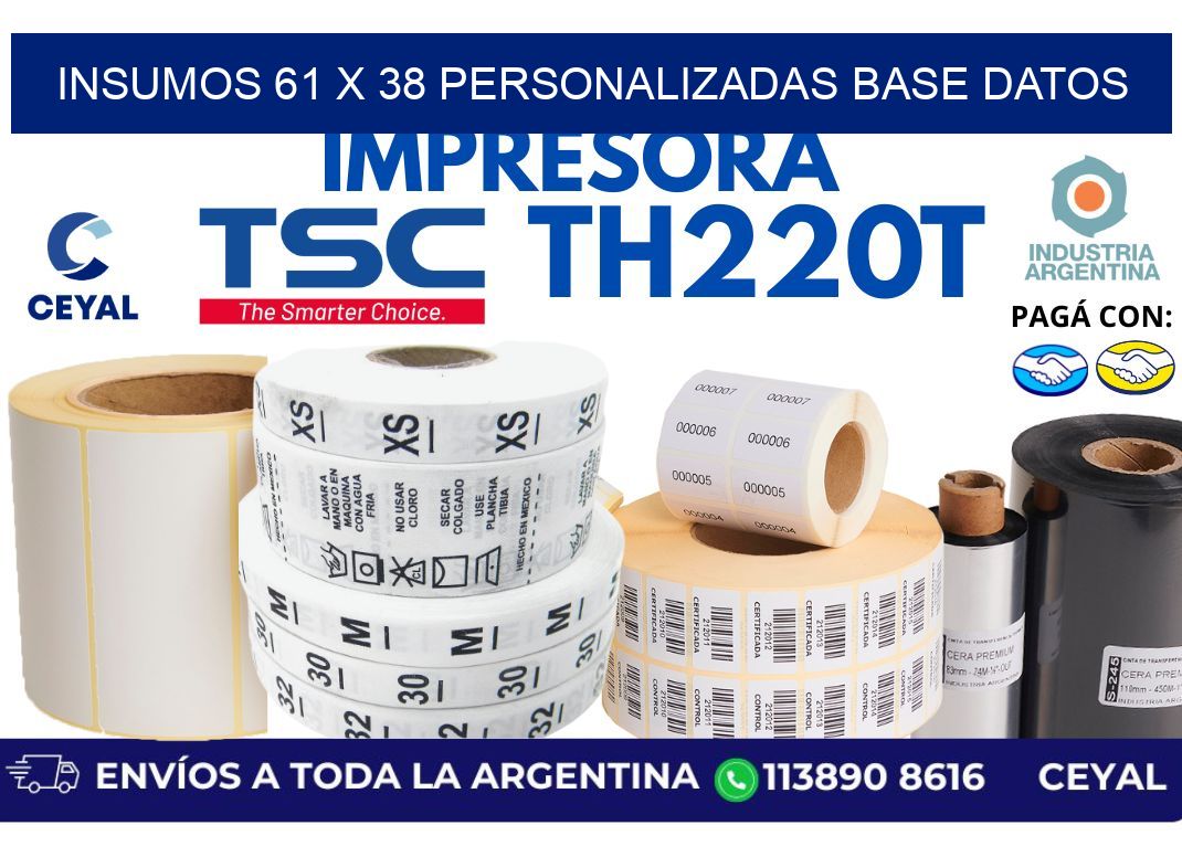 insumos 61 x 38 personalizadas base datos