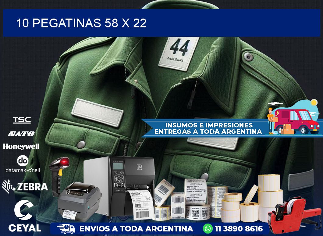 10 PEGATINAS 58 x 22