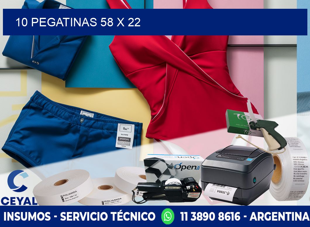 10 PEGATINAS 58 x 22