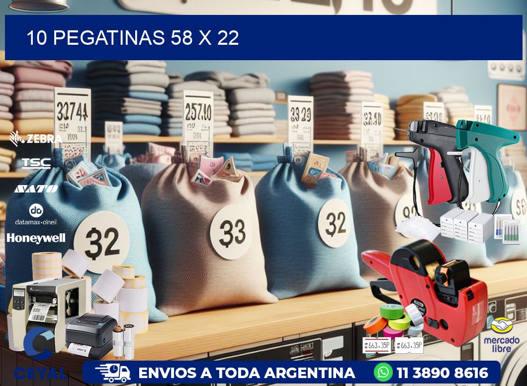 10 PEGATINAS 58 x 22