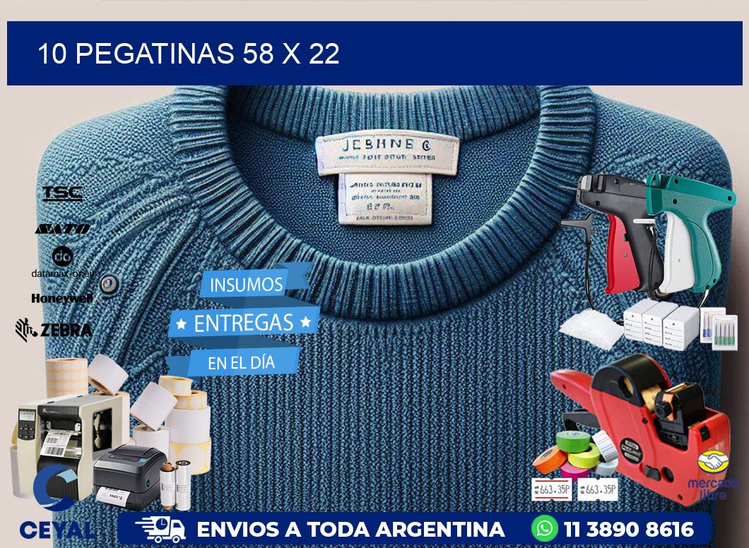10 PEGATINAS 58 x 22