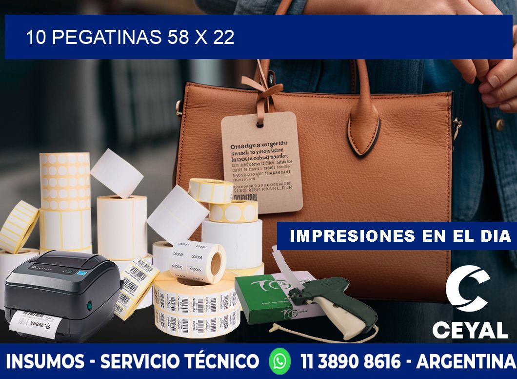 10 PEGATINAS 58 x 22