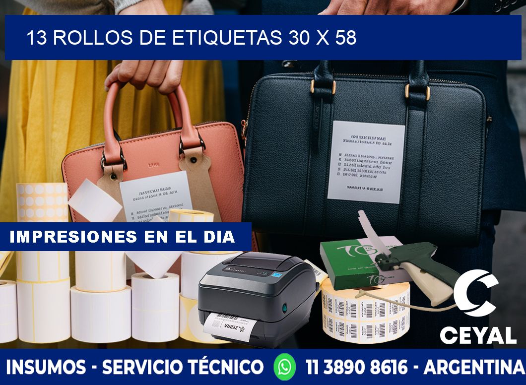 13 ROLLOS DE ETIQUETAS 30 x 58