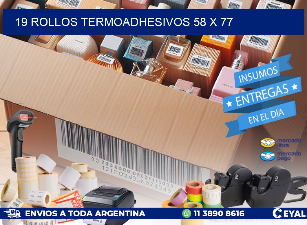 19 ROLLOS TERMOADHESIVOS 58 x 77