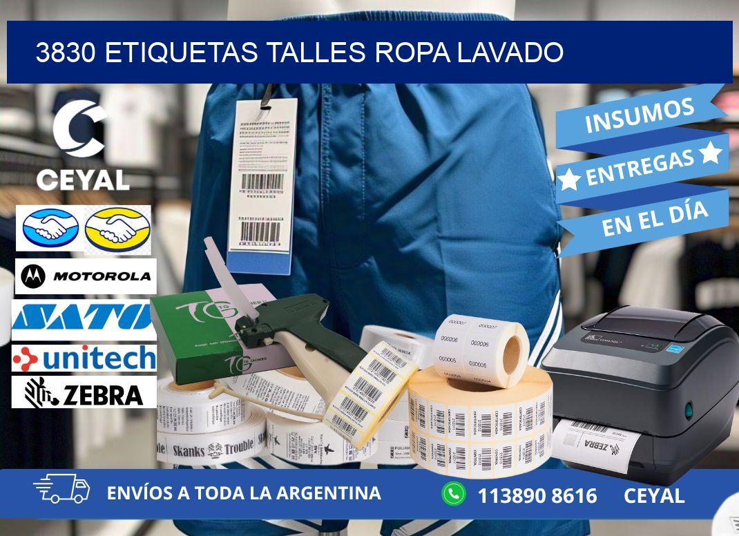 3830 ETIQUETAS TALLES ROPA LAVADO