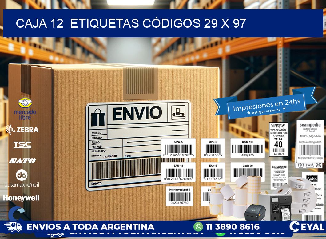 CAJA 12 ETIQUETAS CÓDIGOS 29 x 97