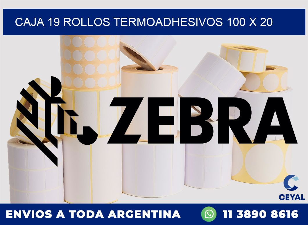 CAJA 19 ROLLOS TERMOADHESIVOS 100 x 20