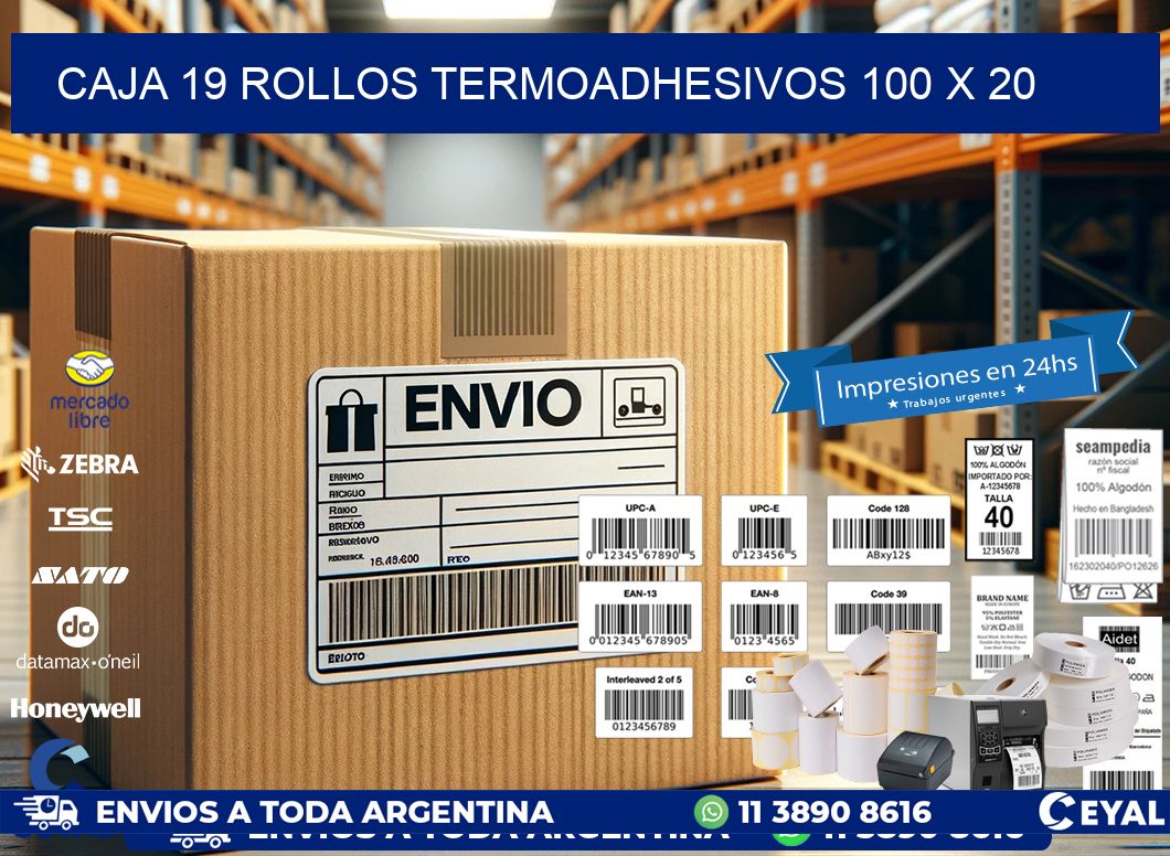 CAJA 19 ROLLOS TERMOADHESIVOS 100 x 20