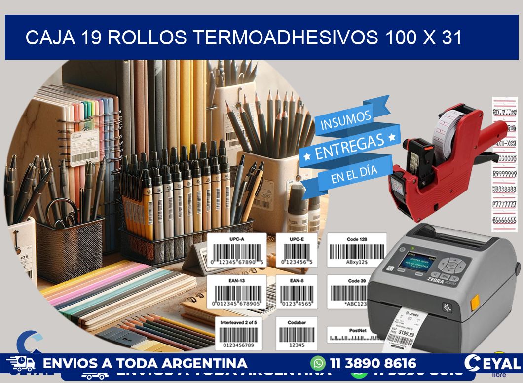 CAJA 19 ROLLOS TERMOADHESIVOS 100 x 31