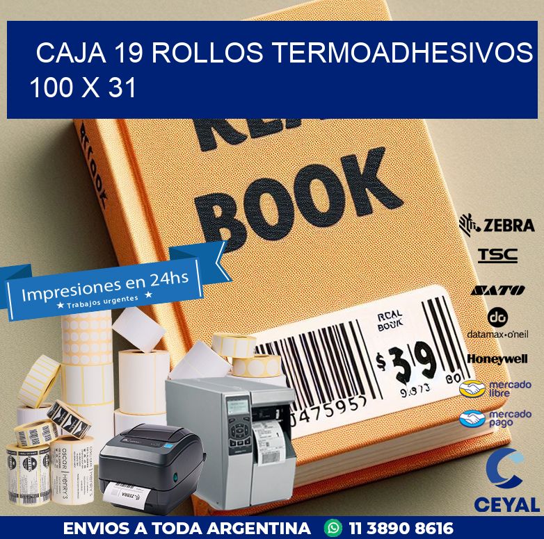 CAJA 19 ROLLOS TERMOADHESIVOS 100 x 31
