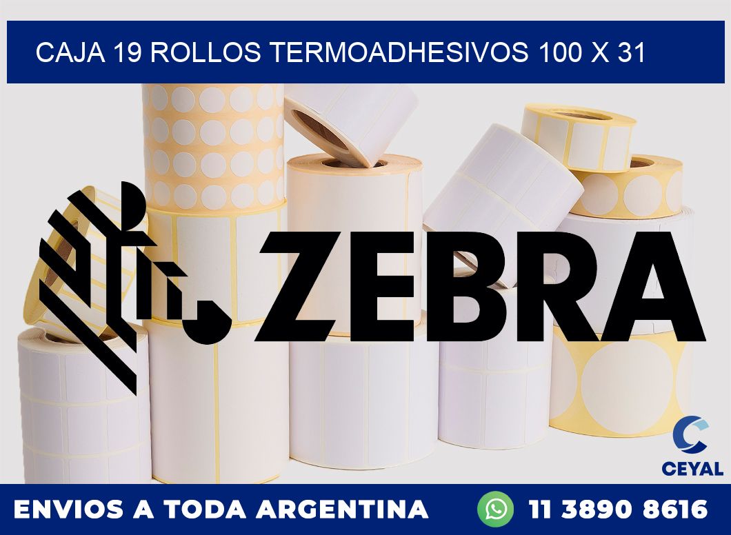 CAJA 19 ROLLOS TERMOADHESIVOS 100 x 31