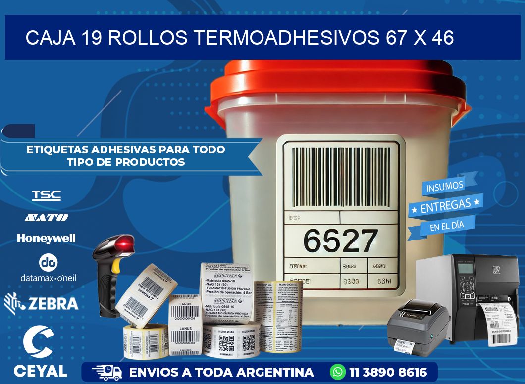 CAJA 19 ROLLOS TERMOADHESIVOS 67 x 46