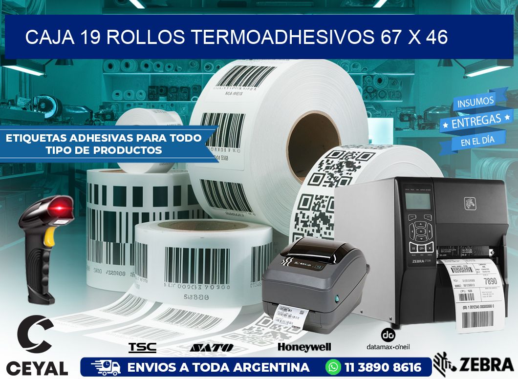 CAJA 19 ROLLOS TERMOADHESIVOS 67 x 46