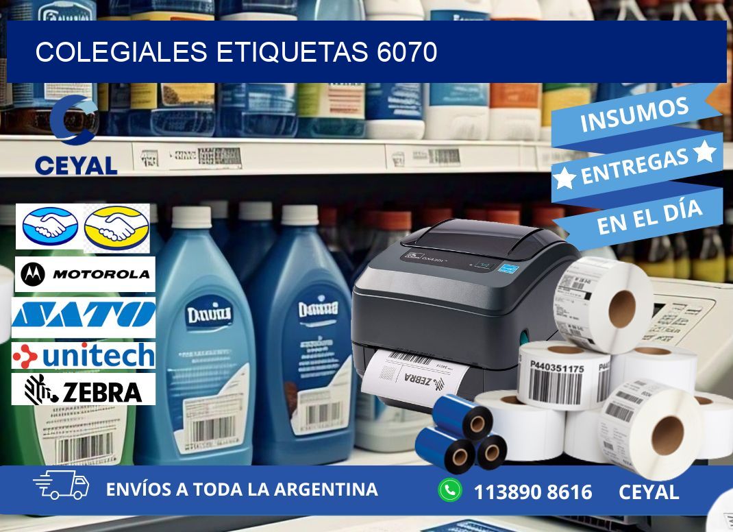 Colegiales etiquetas 6070