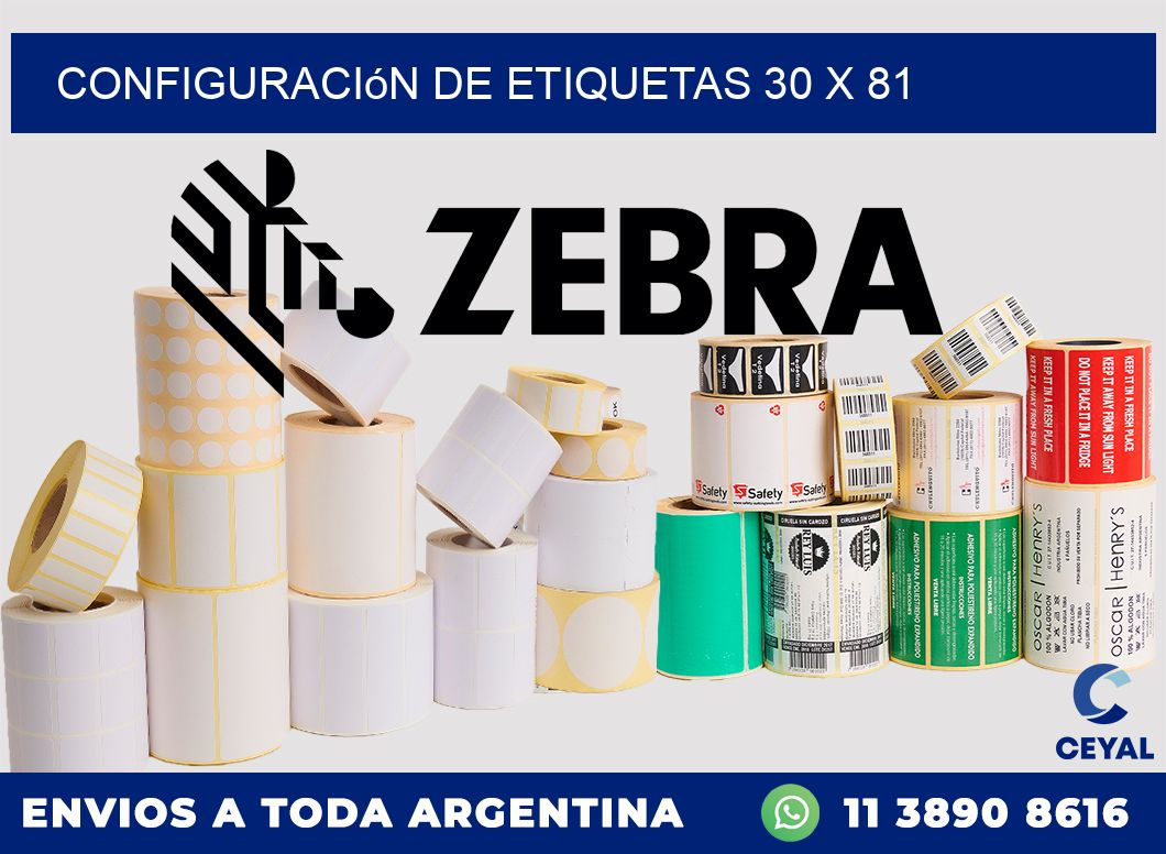 Configuración de etiquetas 30 x 81