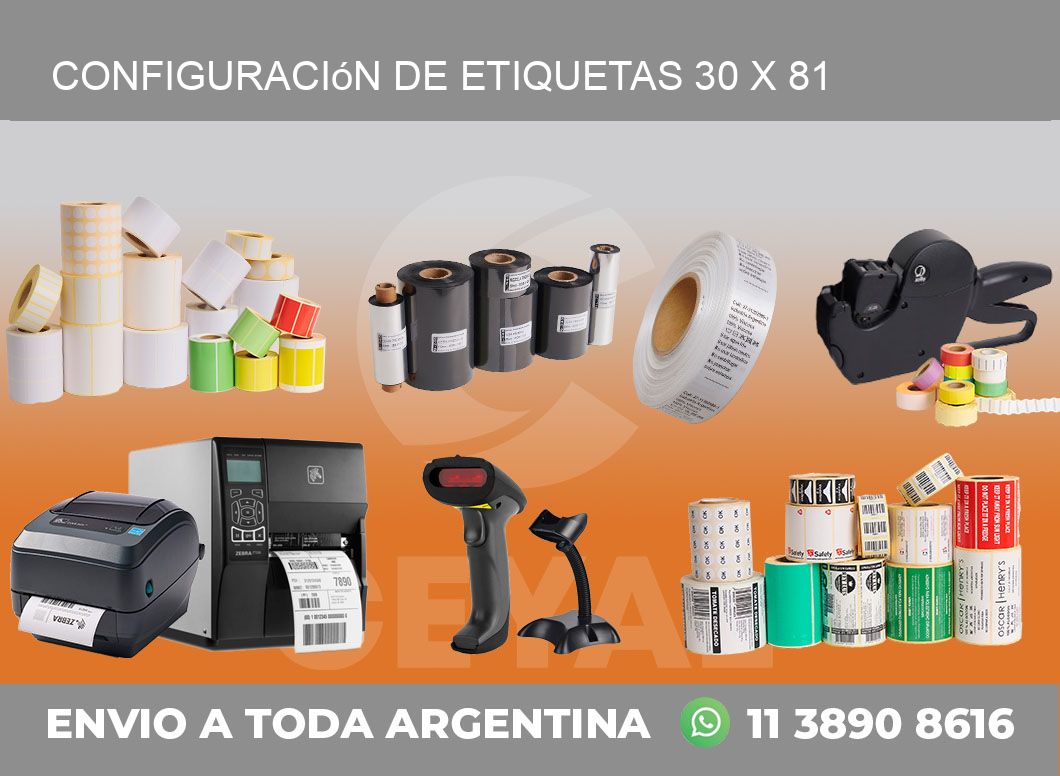 Configuración de etiquetas 30 x 81
