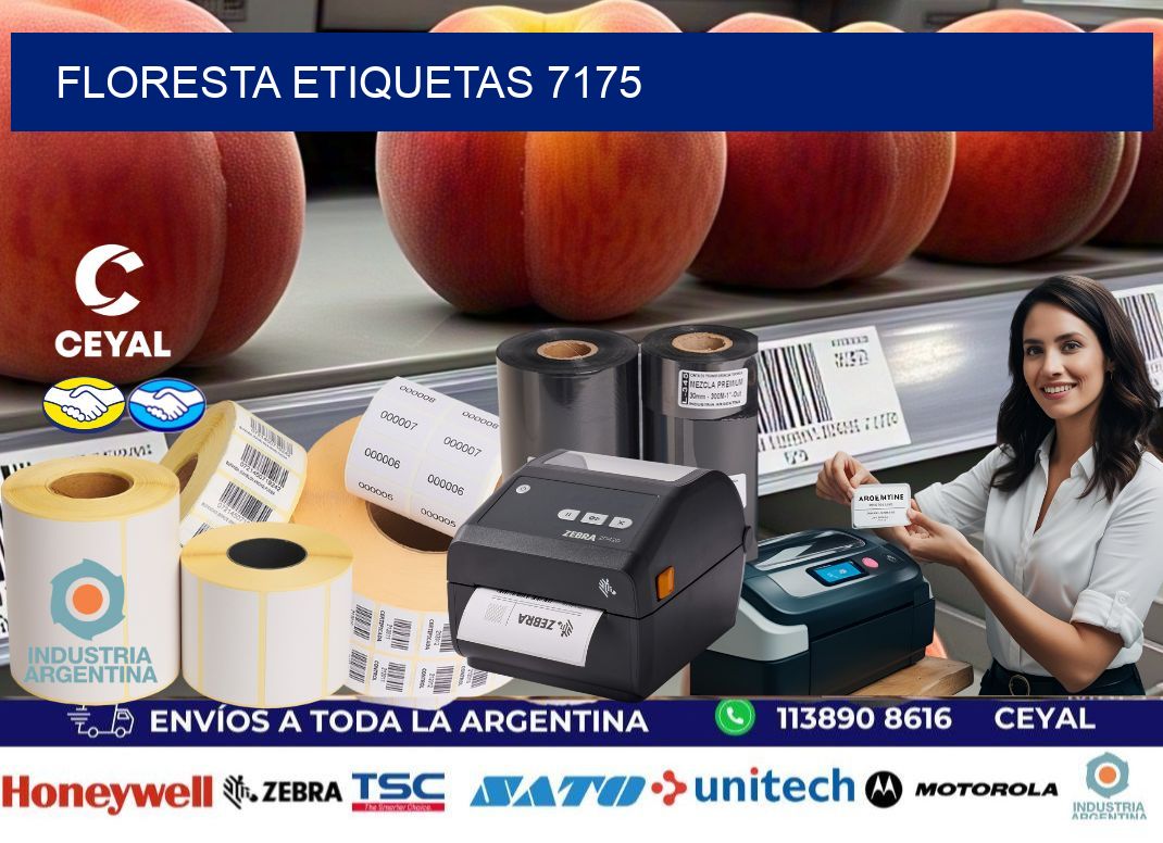 Floresta etiquetas 7175