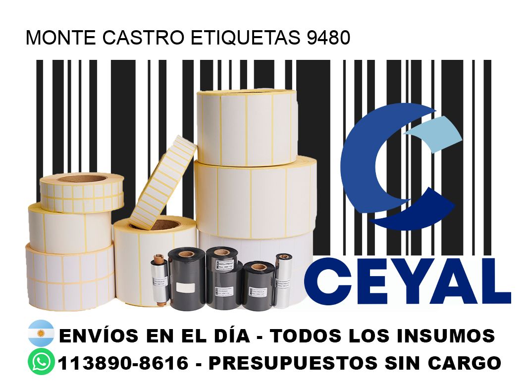 Monte Castro etiquetas 9480