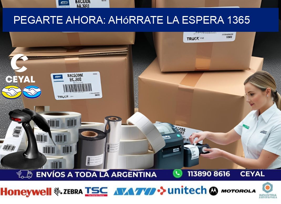 PegArte Ahora: Ahórrate la Espera 1365